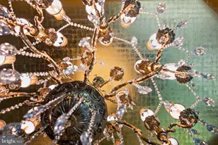 9112/9120 Mine Run Dr, Great Falls, VA 22066 - Photo 15