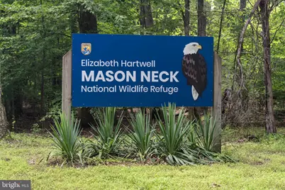 10806 Belmont Boulevard, Lorton, VA 22079 - Photo 9