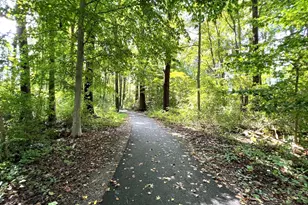 4783 Kandel Ct, Annandale, VA 22003 - Photo 67