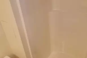 7014 Maple Tree Ln, Springfield, VA 22152 - Photo 29