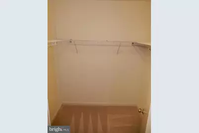 7014 Maple Tree Lane, Springfield, VA 22152 - Photo 45