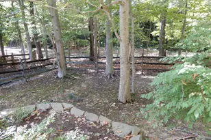 7014 Maple Tree Ln, Springfield, VA 22152 - Photo 53