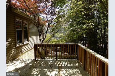 7014 Maple Tree Lane, Springfield, VA 22152 - Photo 51