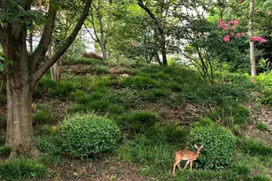 5904 Mt Eagle Dr, Alexandria, VA 22303 - Photo 23