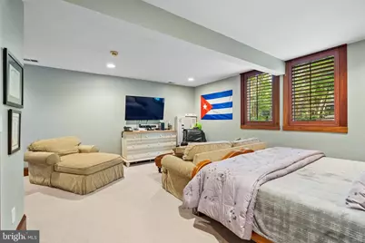 536 Springvale Road, Great Falls, VA 22066 - Photo 71