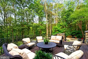 536 Springvale Rd, Great Falls, VA 22066 - Photo 135