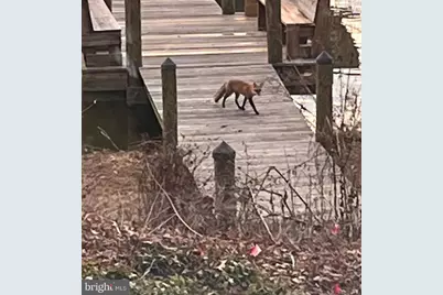 8352 Orange Court, Alexandria, VA 22309 - Photo 29