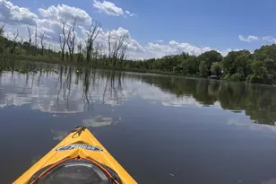 8352 Orange Ct, Alexandria, VA 22309 - Photo 31