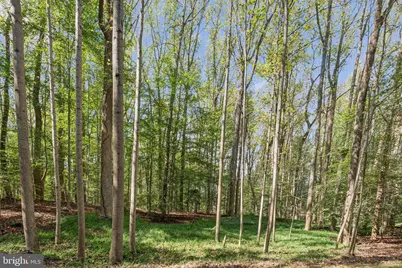 258 Jeffery Lane, Great Falls, VA 22066 - Photo 1