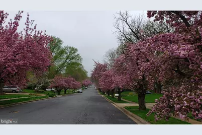 2529 W Meredith Drive, Vienna, VA 22181 - Photo 39