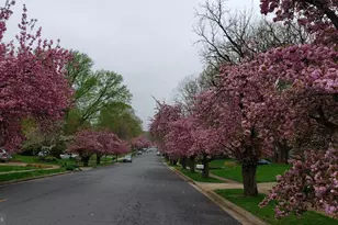 2529 W Meredith Dr, Vienna, VA 22181 - Photo 39