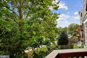 3335 Beechcliff Dr, Alexandria, VA 22306 - Photo 77