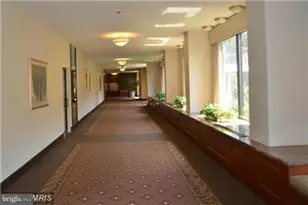 3709 George Mason Dr, Falls Church, VA 22041 - Photo 45