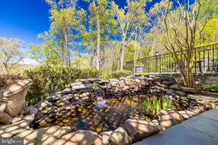 658 Live Oak Dr, McLean, VA 22101 - Photo 53