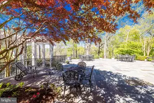 658 Live Oak Dr, McLean, VA 22101 - Photo 49