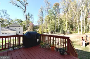 10206 Carol St, Great Falls, VA 22066 - Photo 53