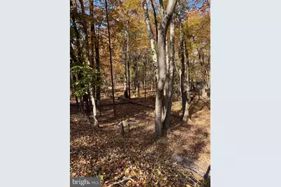 Blue Ridge Lane #24A3, Great Falls, VA 22066 - Photo 3