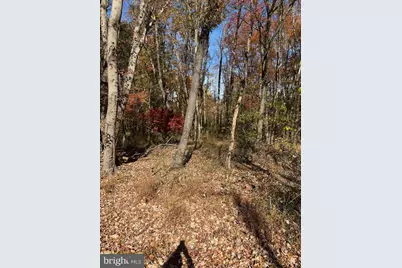 Blue Ridge Lane #24A3, Great Falls, VA 22066 - Photo 5