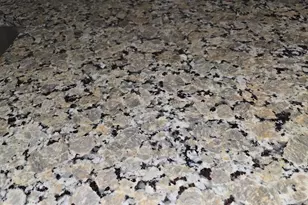 3705 S George Mason Dr, Falls Church, VA 22041 - Photo 13