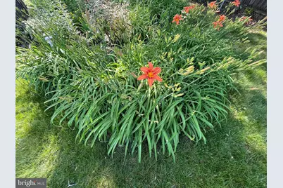 6009 Jennings Lane, Springfield, VA 22150 - Photo 9