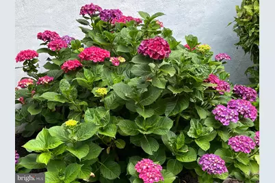 6009 Jennings Lane, Springfield, VA 22150 - Photo 7