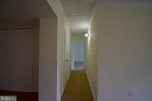 2635 Fort Farnsworth Rd, Alexandria, VA 22303 - Photo 9