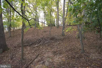 9921 Woodrow Street, Vienna, VA 22181 - Photo 21