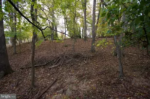 9921 Woodrow St, Vienna, VA 22181 - Photo 21