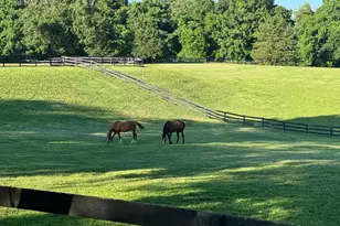 9341 Cornwell Farm Dr, Great Falls, VA 22066 - Photo 3