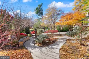 4211 Downing St, Annandale, VA 22003 - Photo 89