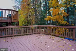 12521 Sweet Leaf Terrace, Fairfax, VA 22033 - Photo 25