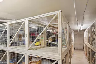 3245 Rio Dr, Falls Church, VA 22041 - Photo 25