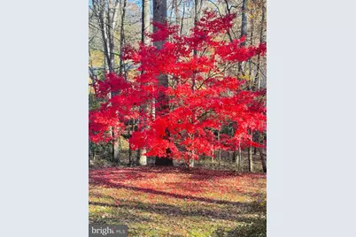 2201 Nobehar Drive, Vienna, VA 22181 - Photo 43