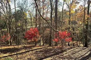 2201 Nobehar Dr, Vienna, VA 22181 - Photo 37