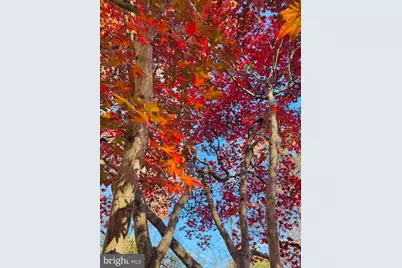 2201 Nobehar Drive, Vienna, VA 22181 - Photo 41