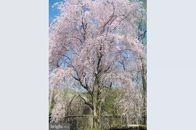 2201 Nobehar Drive, Vienna, VA 22181 - Photo 35