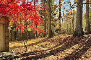 2201 Nobehar, Vienna, VA 22181 - Photo 13