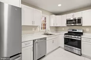 8205 Cedar Landing Ct, Alexandria, VA 22306 - Photo 3