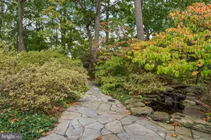 5817 Jane Way, Alexandria, VA 22310 - Photo 11