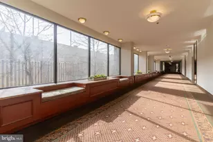 3709 S George Mason Dr, Falls Church, VA 22041 - Photo 5