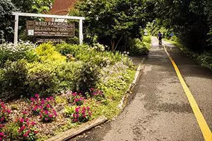 2007 Spring Branch Dr, Vienna, VA 22181 - Photo 97