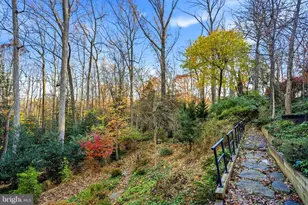 2007 Spring Branch Dr, Vienna, VA 22181 - Photo 11