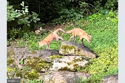 2007 Spring Branch Drive, Vienna, VA 22181 - Photo 89