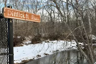 2007 Spring Branch Dr, Vienna, VA 22181 - Photo 93