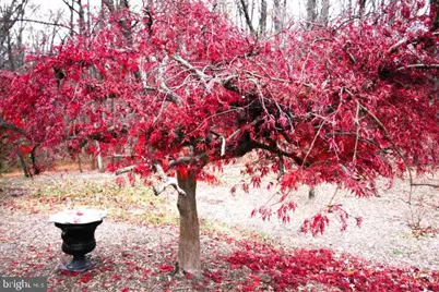 3142 Searsmont Place, Herndon, VA 20171 - Photo 45