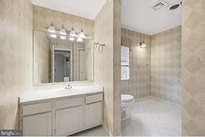 10701 Sycamore Springs Lane, Great Falls, VA 22066 - Photo 75