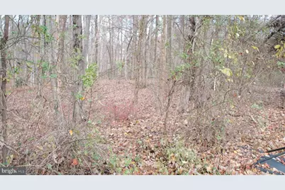 3140 Searsmont Place, Herndon, VA 20171 - Photo 7