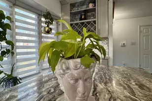 131 Casmar St SE, Vienna, VA 22180 - Photo 23