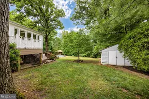 6528 Windham Ave, Alexandria, VA 22315 - Photo 57