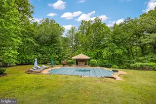 6528 Windham Ave, Alexandria, VA 22315 - Photo 51
